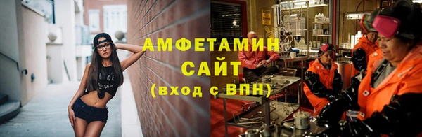 шишки Арсеньев