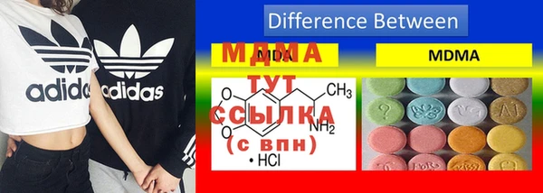 шишки Арсеньев