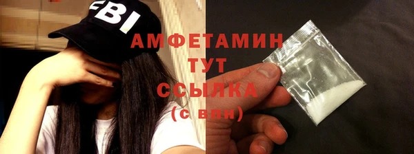шишки Арсеньев