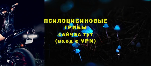 ALPHA PVP Армянск