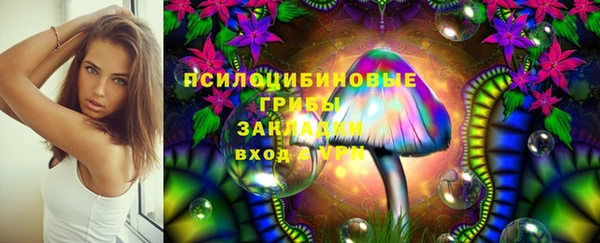 прущая мука Аркадак