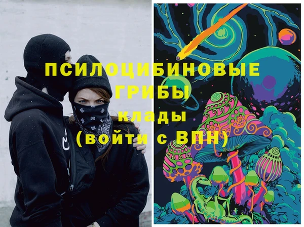 шишки Арсеньев