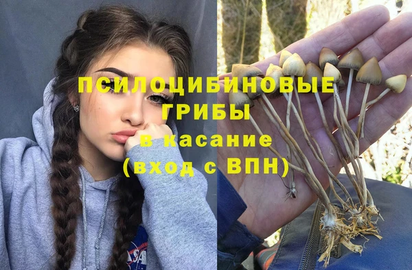 дистиллят марихуана Каменногорск