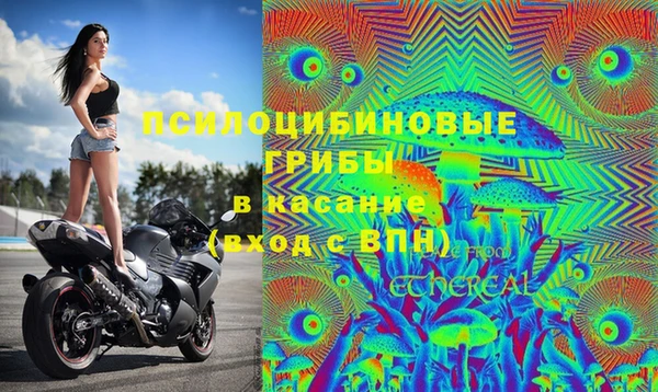 ALPHA PVP Армянск